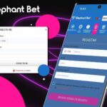 Login Guide for the Elephant Bet App in Mozambique