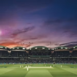 Why Cricket Fans Are Spending More Time on Laser247