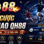 QH88 Mobile – A Channel For Updating The Safest And Latest QH88 Access Links