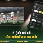 Keo Nha Cai: How to Read and Analyze Football Betting Odds