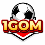 1Gom – An Overview of the Experience, Features, and Key Information